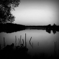 /album/rasing-r/photolia-b01-jpg/